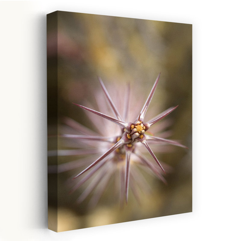 Cactus Spines Detail by Green Earth Collection - Wrapped Canvas Print, 45.72 cm H x 30.48 cm W