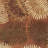 Delview Floral Handmade Tufted Wool Area Rug-889733334-867195758
