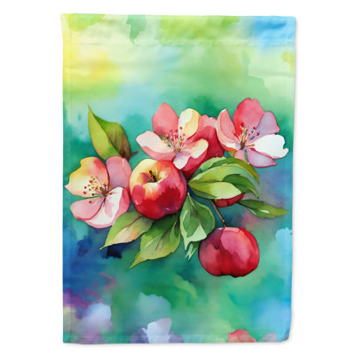 Double Sided 40'' H x 28'' W Polyester House Flag