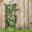 Treillis de jardin extérieur en métal Ganae