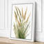 Grain Heads Study Botanical - Wrapped Canvas-1677984886-1677984895