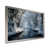Silver Framed selected