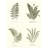 Pressed Fern Set