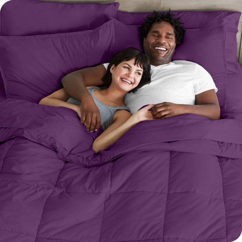 Lit dans un sac en microfibre 1800 de qualité supérieure 1800, Édredon simple TG et 4 pièces supplémentaires, Prune / prune