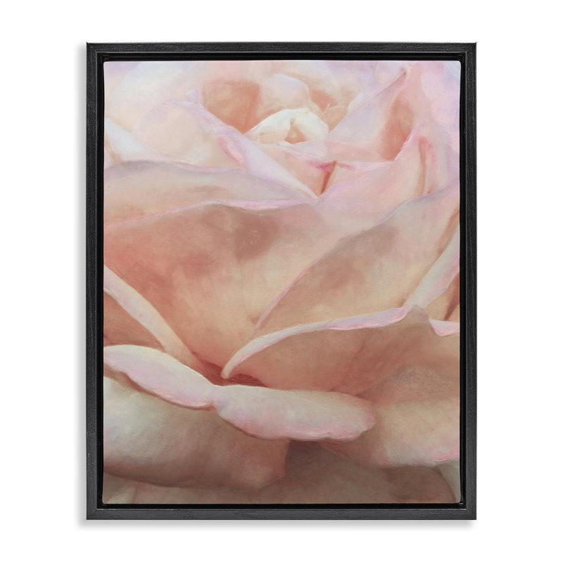 «Soft Soft Rose Petals» par Alonzo Saunders, H 31 po x l 25 po, Cadre flottant noir de jais