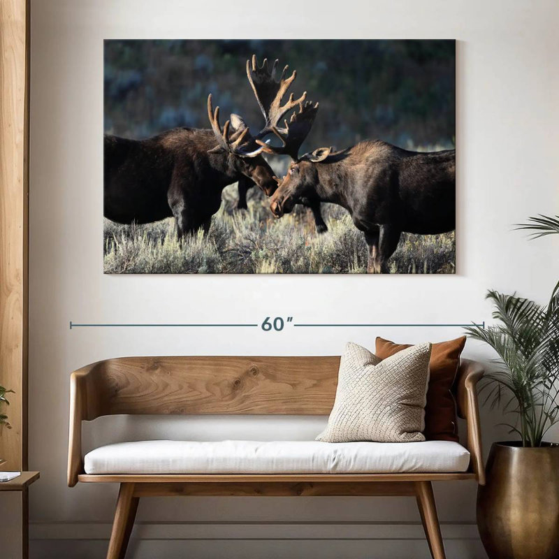 Orignal à Grand Teton, H 34 po x l 51 po