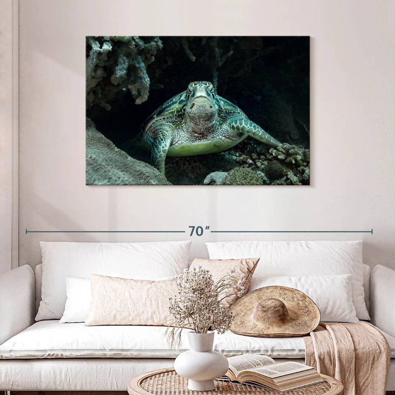 Brampt Bali Green Sea Turtle