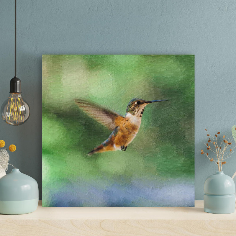 «A Brown Hummingbird Flying», reproduction d'art graphique sur toile tendue, H 32 po x l 32 po