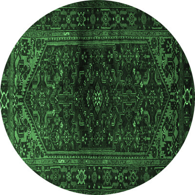 Oriental Indoor Rug