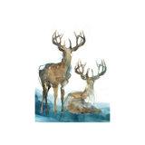 Curious Print by Emma Brooks