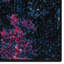 Tapis en polypropylène tissé à la machine Chung-21580730