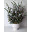 Arrangement de lavande en pot