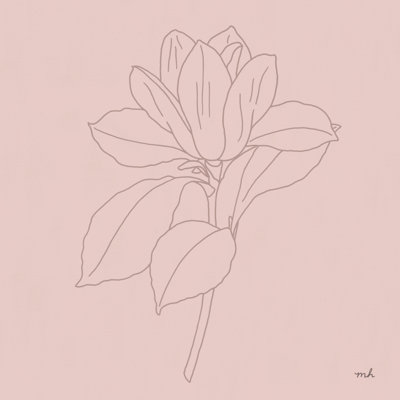 Magnolia Line Drawing - Wrapped Canvas Print