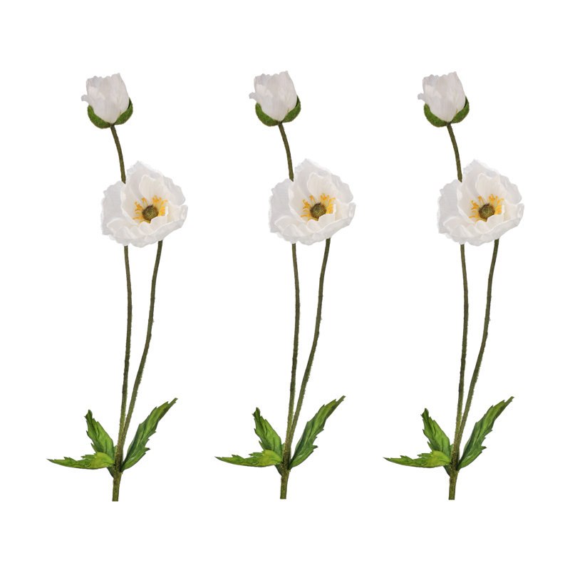 Coquelicot d'été + bourgeon 29 po , Blanc