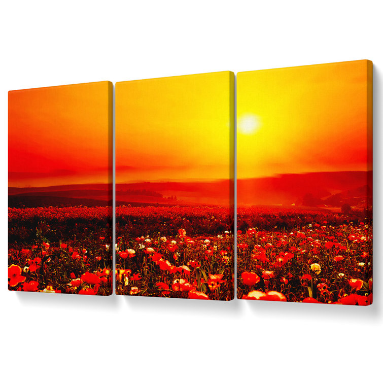 Ebern Designs Poppy Field Mist - 3 Piece Wrapped Canvas Print | Wayfair ...