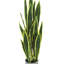 Artificial Sansevieria Snake Plant in Pot-1454465283