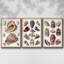 Ensemble de 3 cadres flottants sur toile-1855540833-1855540837