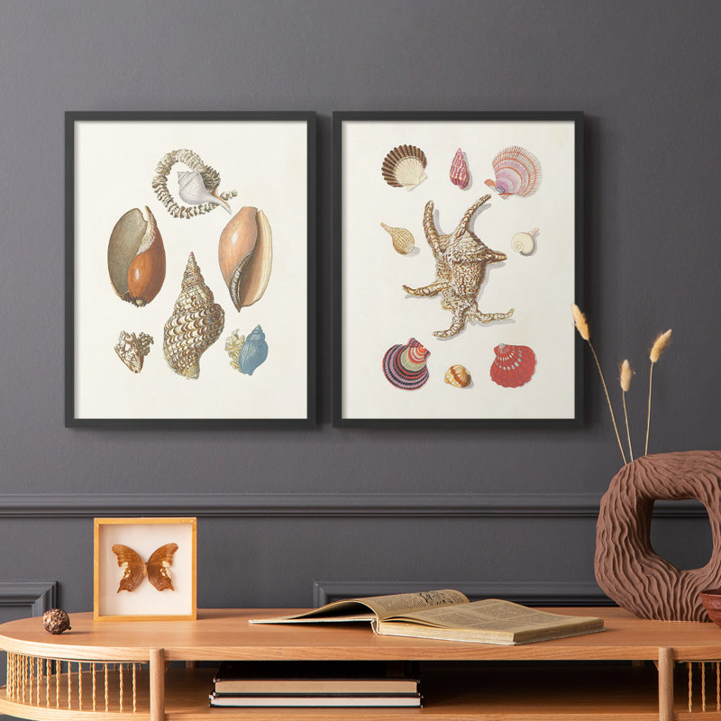 Knorr Shells & Coral I-Premium, reproduction encadrée prête à accrocher - aucun clou requis - aucun clou requis