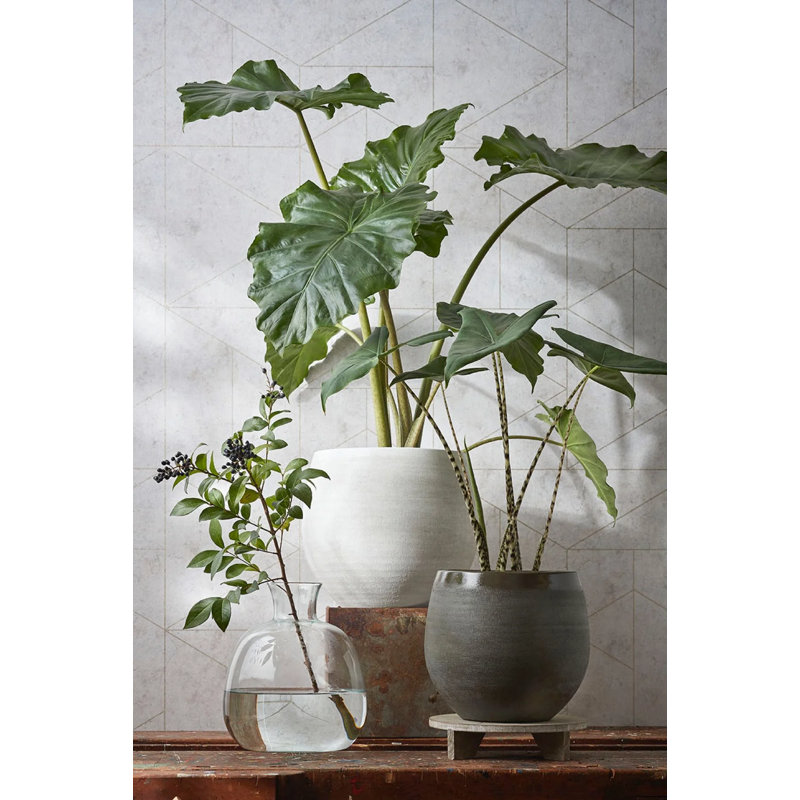 Allyannah Ceramic Pot Planter