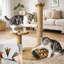 Scratching Post