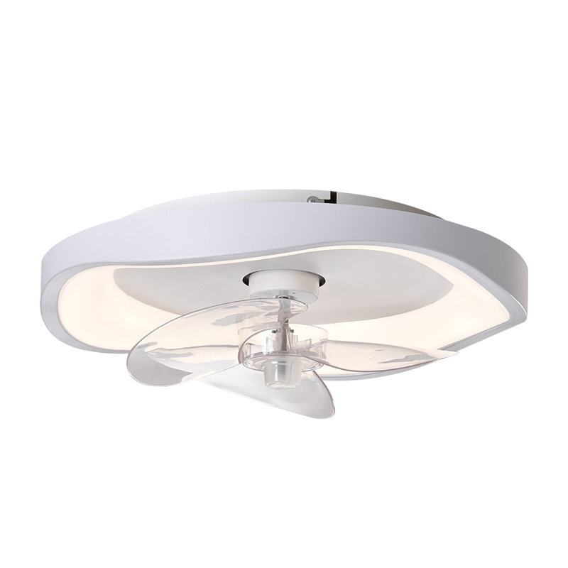 Ceiling Fan with LED Lights