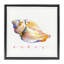 «Conch Shell Renew» par John Keeling-927649026-927649029