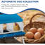 Nesting Boxes-251943612