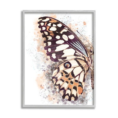 Gros plan sur une aile de papillon