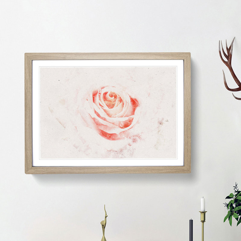 Pale Pink Rose - Framed Print, Oak Framed, 62cm H x 87cm W x 2cm D