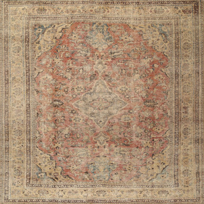 Dayhsaun Oriental Indoor Rug
