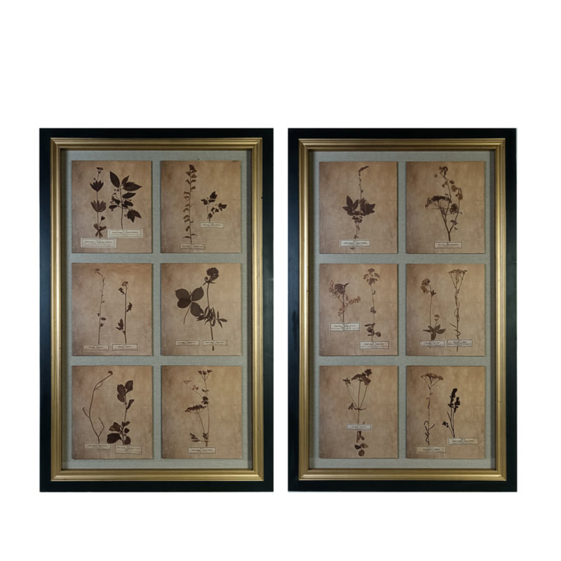 Grand Estate Vintage Botanical Wall Art - Set of 2