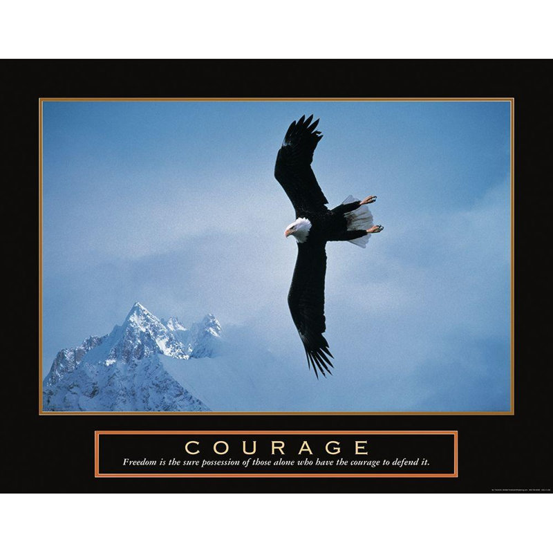 Art sur toile tendue avec châssis Art Direct: Courage, aigle, H 36 po x l 45 po