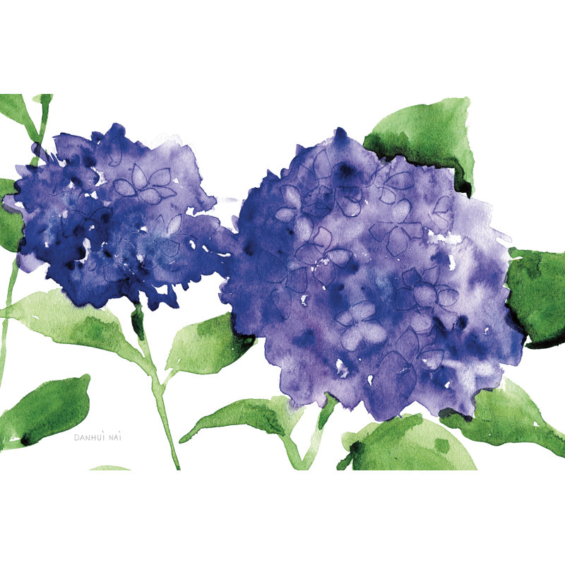 «Bright Hydrangeas» par Anne Tavoletti, reproduction d'art sur toile tendue, H 32 po x l 48 po