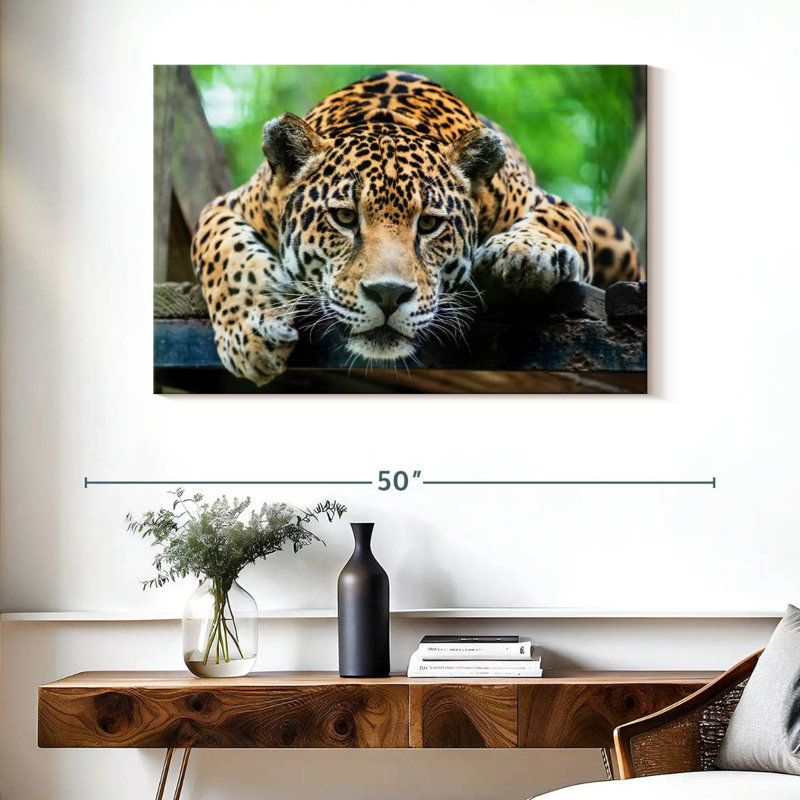 Crowle Lazy Leopard, H 26 po x l 39 po