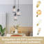1 - Light Matte Black Cylinder Pendant