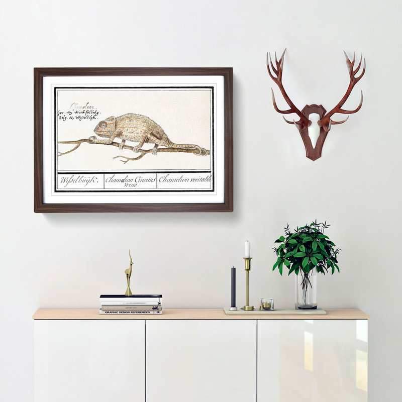 Chameleon by A.B. De Boodt - Picture Frame Painting Print, Walnut Framed, 48cm H x 65cm W x 2cm D