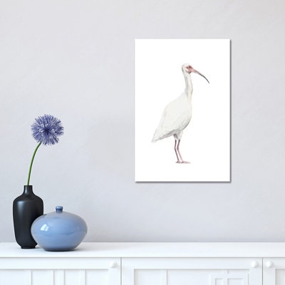 Ibis 1 Piece Wrapped Canvas Painting