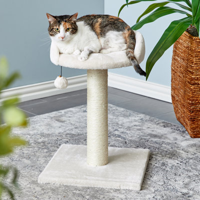 Alysianna 20.5'' H Cat Tree
