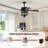 Edenfield 50'' Ceiling Fan with Light Kit