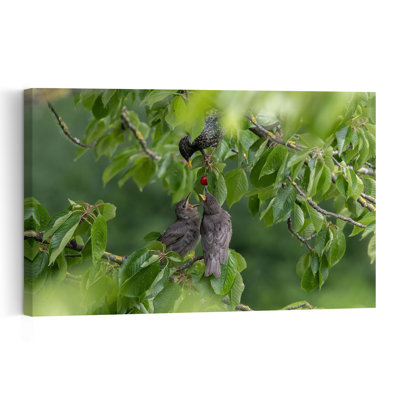 Nurturing Starling Family Vibrant Abstract Contemporary Cherry Tree Bird Forest Fruit Wall Art Print 1 Piece Wrapped Canvas Wall Art