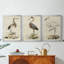 Antique Heron I - Toile tendue avec châssis sur mesure - 3 pièces-1554443129-1554443132