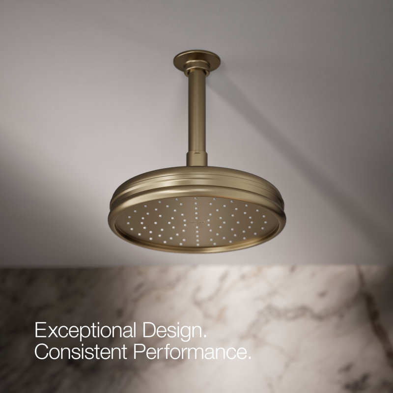 Traditional Rain Shower Head, Vibrant Brushed Bronze