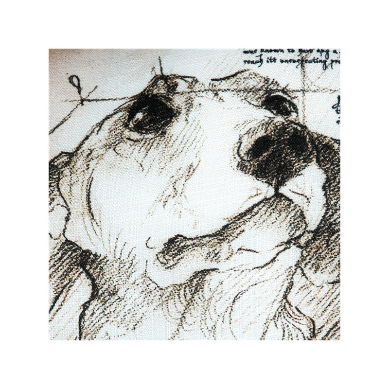 Coussin intérieur / extérieur Dachshund Dog