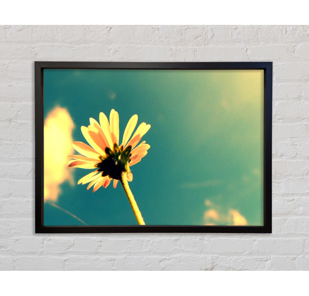 Sommerblume Retro Sonnenschein - Einzelner Bilderrahmen Kunstdrucke auf Leinwand