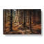 Within The Woods - Wrapped Canvas-55320132