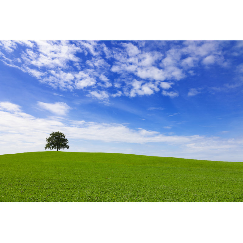 Green Field and Lonely Tree by Bertlmann, 20" H x 30" W