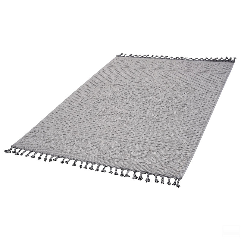 4X6 Indoor/Outdoor Area Rug, Rectangle 4' x 6'2"