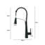 Belfry Kitchen Dunfee Pull Out Kitchen Faucet-1067238069
