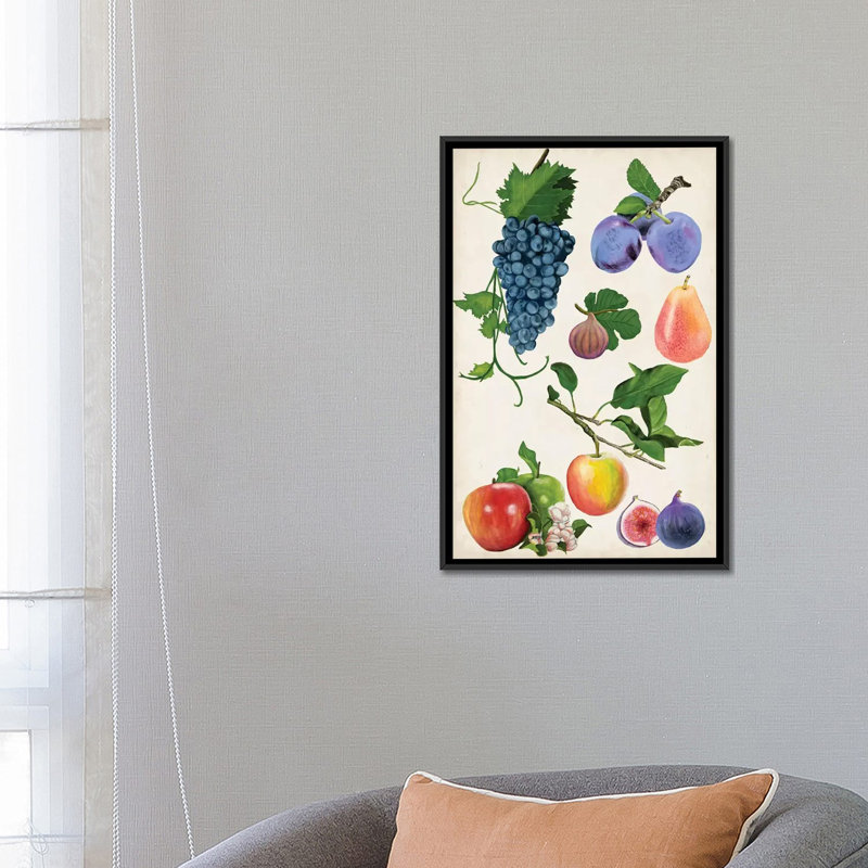 «Fruit Collection II», impression sur toile, H 26 po x l 18 po x P 1,5 po, Toile encadrée noire, Pas de tapis