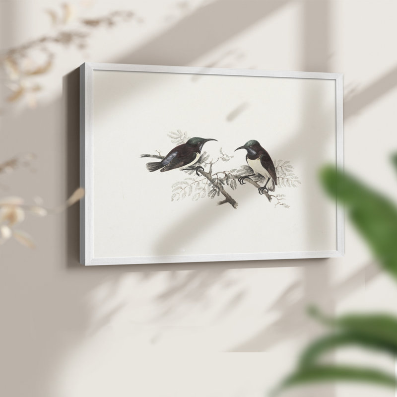 Faune rétro-XXIII - reproduction encadrée - réaménageable, H 16 po x l 20 po, Blanc